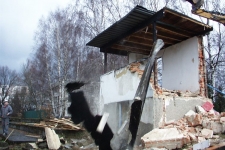 pic00111